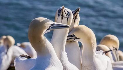 半岛体育下载-中超第二轮 北京国安 浙江 山东 河南最少有一支球队能负分清零|浙江队|山东队|山东泰山|上海申花|上海申花足球俱乐部_新浪体育_新浪新闻